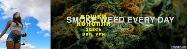 молекула духа Армянск