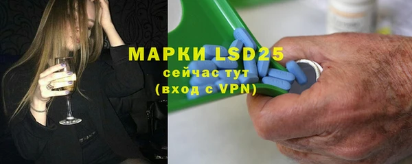 стаф Аркадак