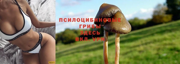 первитин Арсеньев