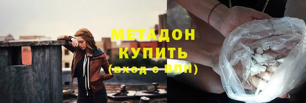 стаф Аркадак