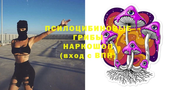 молекула духа Армянск