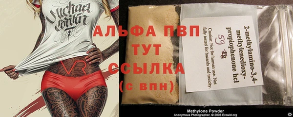 стаф Аркадак
